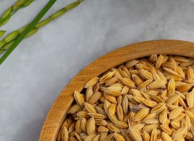 Body scrub COSMOS