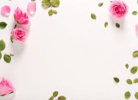 Anti-ageing comfort cream COSMOS