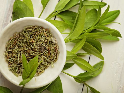 Body kokoon detox