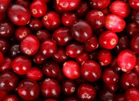 GlucoEmpreinte Cranberries