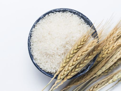 Serum visage au riz
